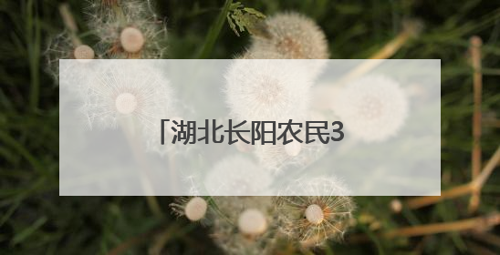 湖北长阳农民38年深山守护“植物大熊猫”